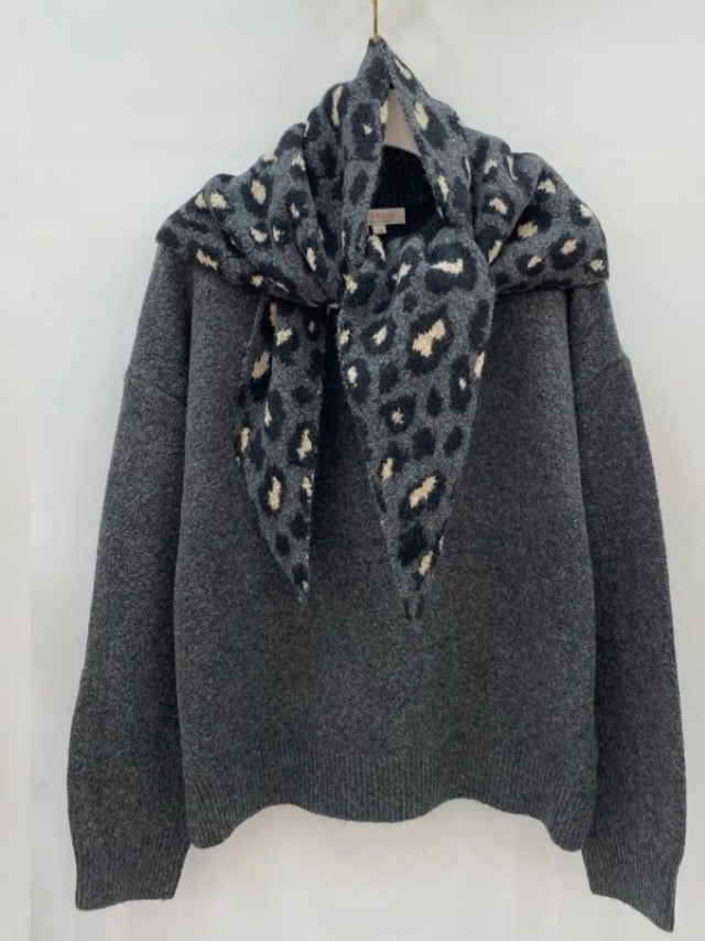 Grey Sweater With Leo scarf